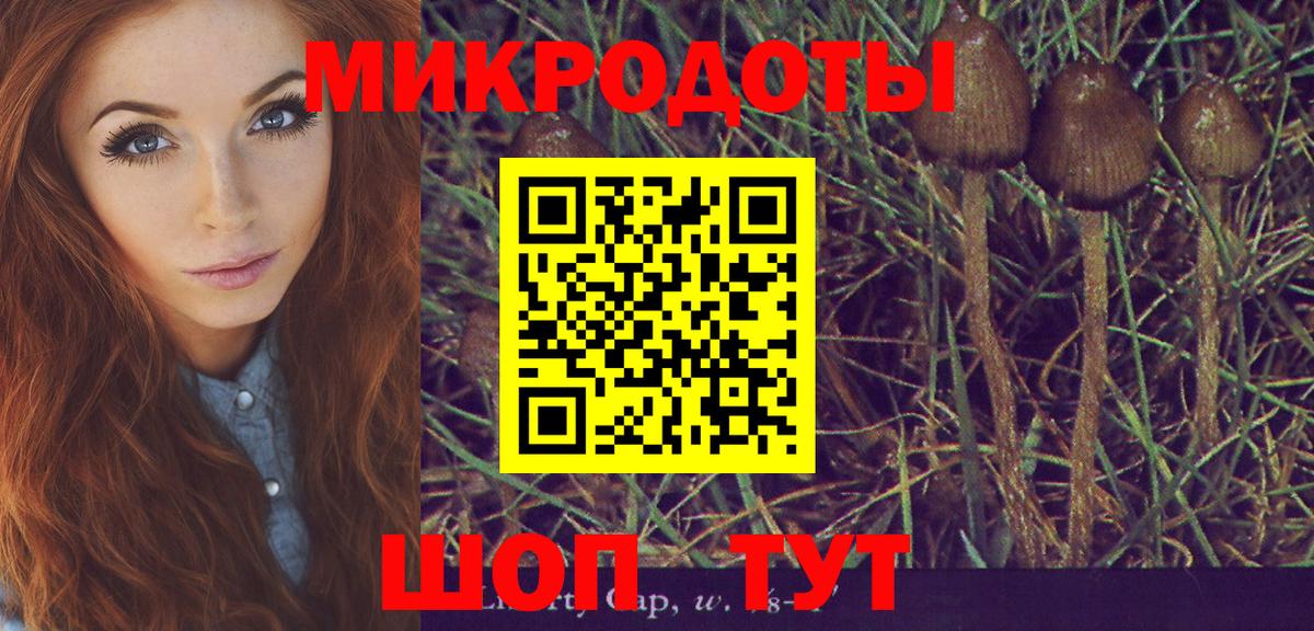 Псилоцибиновые грибы ЛСД  Вход с VPN  Галлюциногенные грибы Psilocybe  Валуйки 