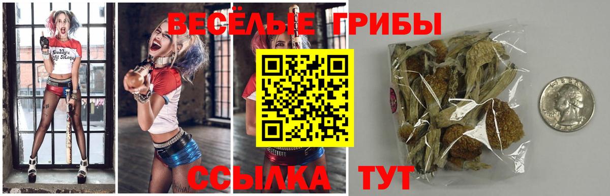 Псилоцибиновые грибы MAGIC MUSHROOMS Валуйки